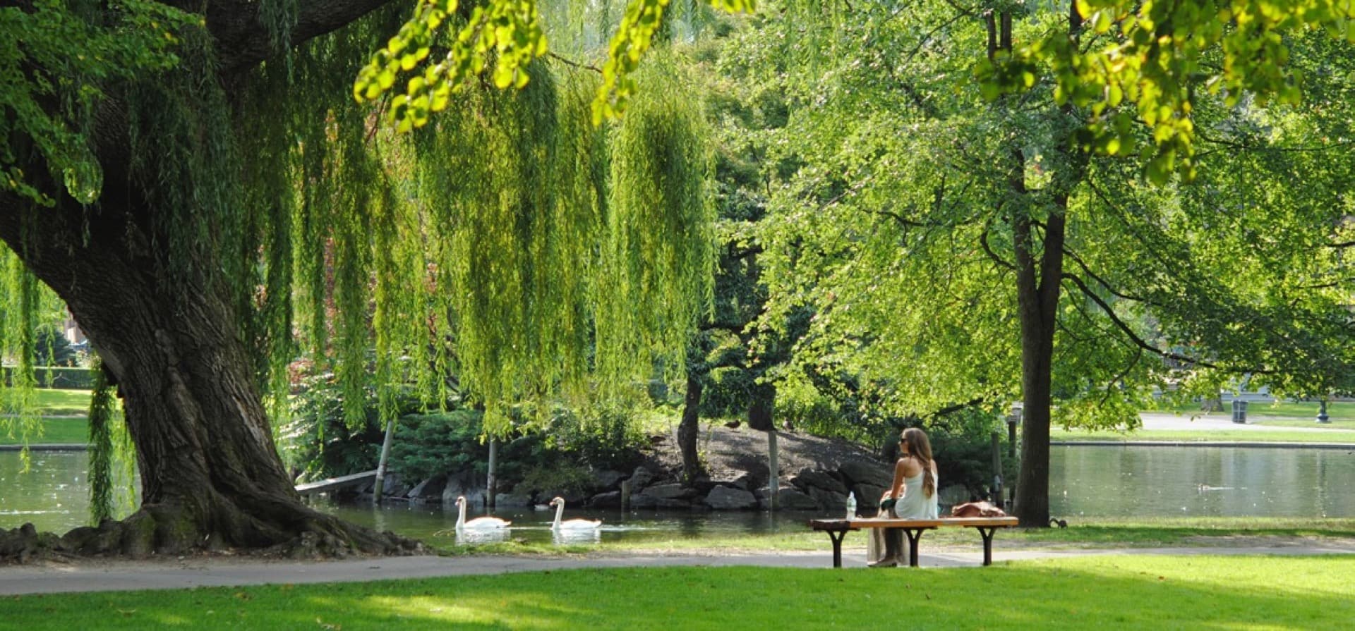 이서묘포장 전경